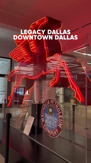 Video post by @visit_dallas on Instagram