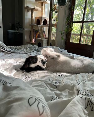 Video post by @wayfair on TikTok