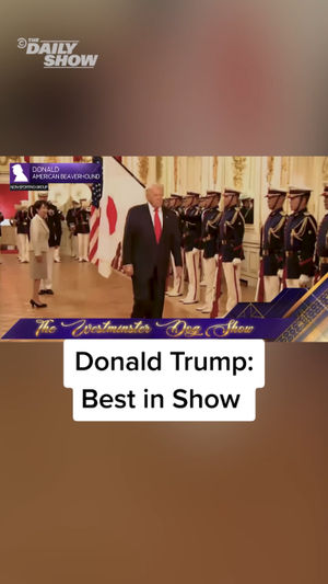 Video post by @thedailyshow on TikTok