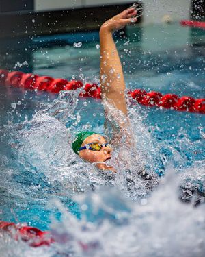 Image post by @csuswimdive on Instagram