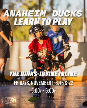 Image post by @the_rinks on Instagram