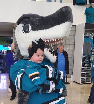 Image post by @sjsharkie on Twitter