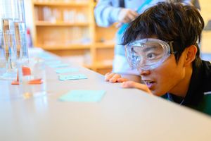 Image post by @smlions on Instagram