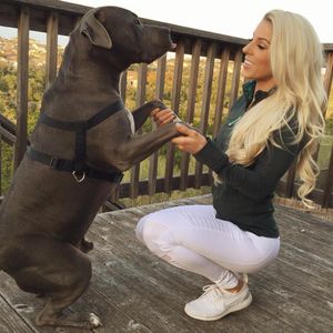 Image post by @buffbunny on Instagram