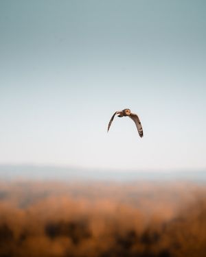 Image post by @danigoinhamm on Instagram