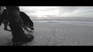 Video post by @michaelspruit on Instagram