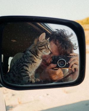 Image post by @fubiz on Instagram
