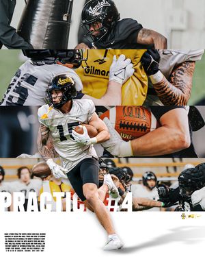 Image post by @idahovandalsfb on Instagram