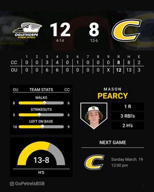 Image post by @GoPetrelsBSB on Twitter