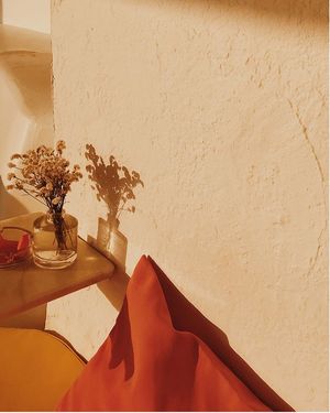 Image post by @memo.paris on Instagram