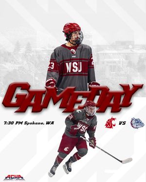 Image post by @wsu_hockey_ on Instagram