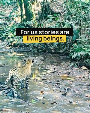 Image post by @leonardodicaprio on Instagram