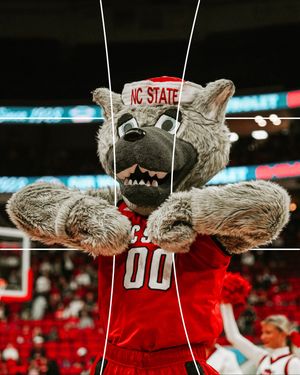 Image post by @packathletics on Instagram
