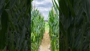 Video post by @johndeere on YouTube