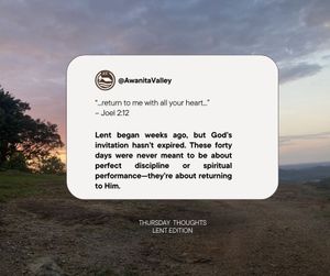 Image post by @awanitavalley on Instagram