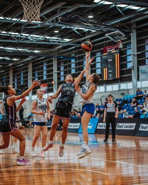 Image post by @basketballaus on Instagram