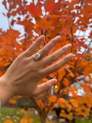 Image post by @arielleratner on Instagram