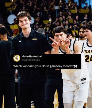 Image post by @vandalhoops on Instagram