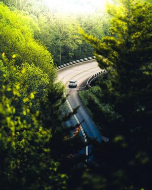 Image post by @wyethco on Instagram