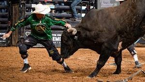 Video post by @pbr on YouTube