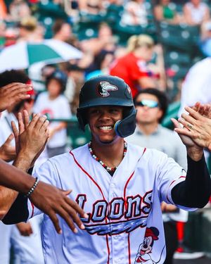 Image post by @greatlakesloons on Instagram
