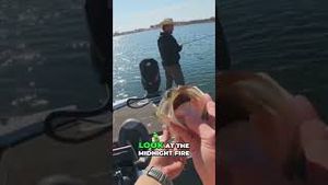 Video post by @lakeforkguy on YouTube