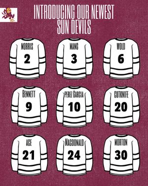 Image post by @womenshockeyasu on Instagram