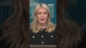 Video post by @thenationaldesk on YouTube