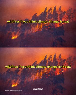Image post by @greenpeace on Instagram