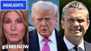 Video post by @msnbc on YouTube