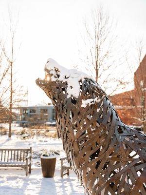 Image post by @ncstatedasa on Instagram