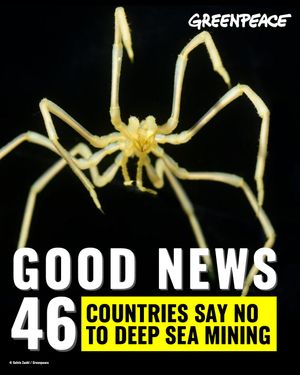 Image post by @greenpeace on Instagram