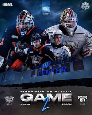 Image post by @flintfirebirds on Instagram