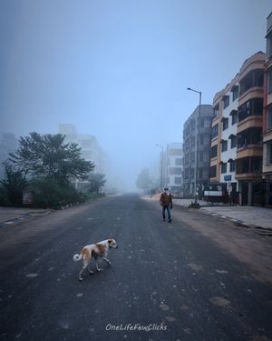 Image post by @dhritimanlahiri on Instagram