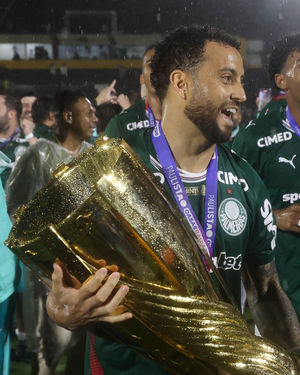 Image post by @palmeiras on Instagram