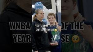 Video post by @minnesotalynx on YouTube
