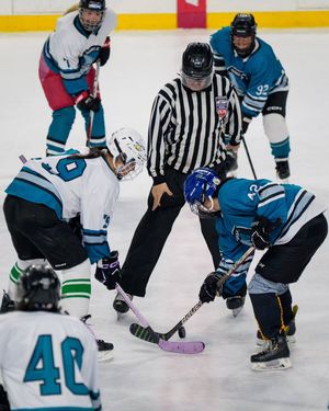 Image post by @womenofhockeysj on Instagram