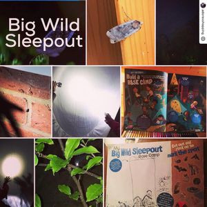 Image post by @rspb on Instagram