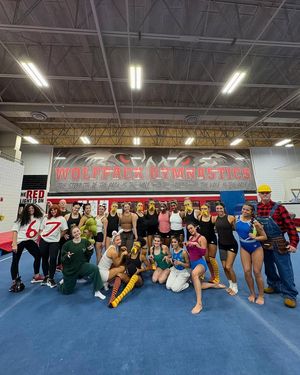 Image post by @PackGymnastics on Facebook