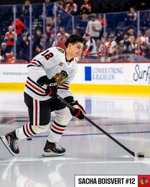 Image post by @nhl on Instagram