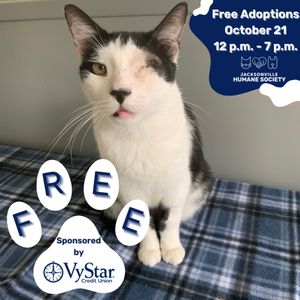 Image post by @vystarcreditunion on Instagram