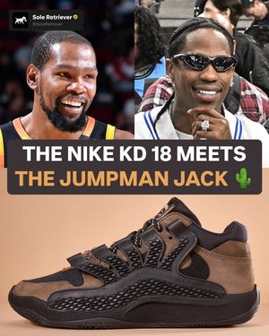 Image post by @soleretriever on Instagram