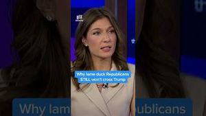 Video post by @msnbc on YouTube