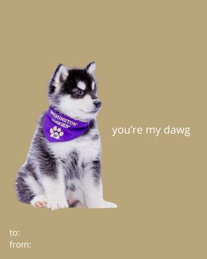 Image post by @production.dawgs on Instagram