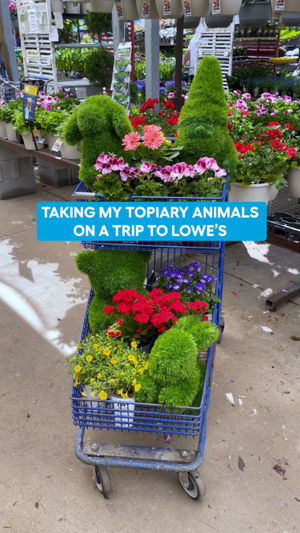 Video post by @lowes on Facebook