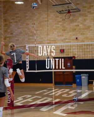 Image post by @harvardwvball on Instagram