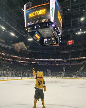 Image post by @chancenhl on Instagram