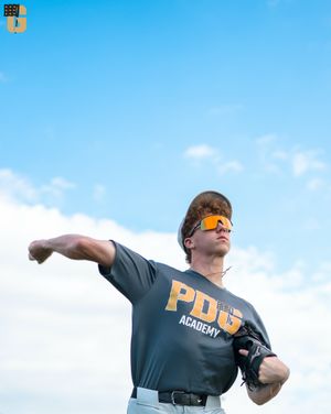 Image post by @pdgabaseball on Instagram