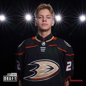 Image post by @anaheimducks on Instagram