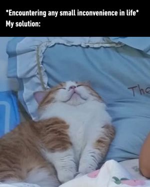 Image post by @9gag on Instagram